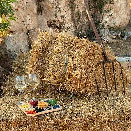 Guest house Masseria Borgo Monaci -