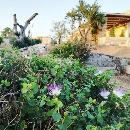 Masseria Borgo Monaci -